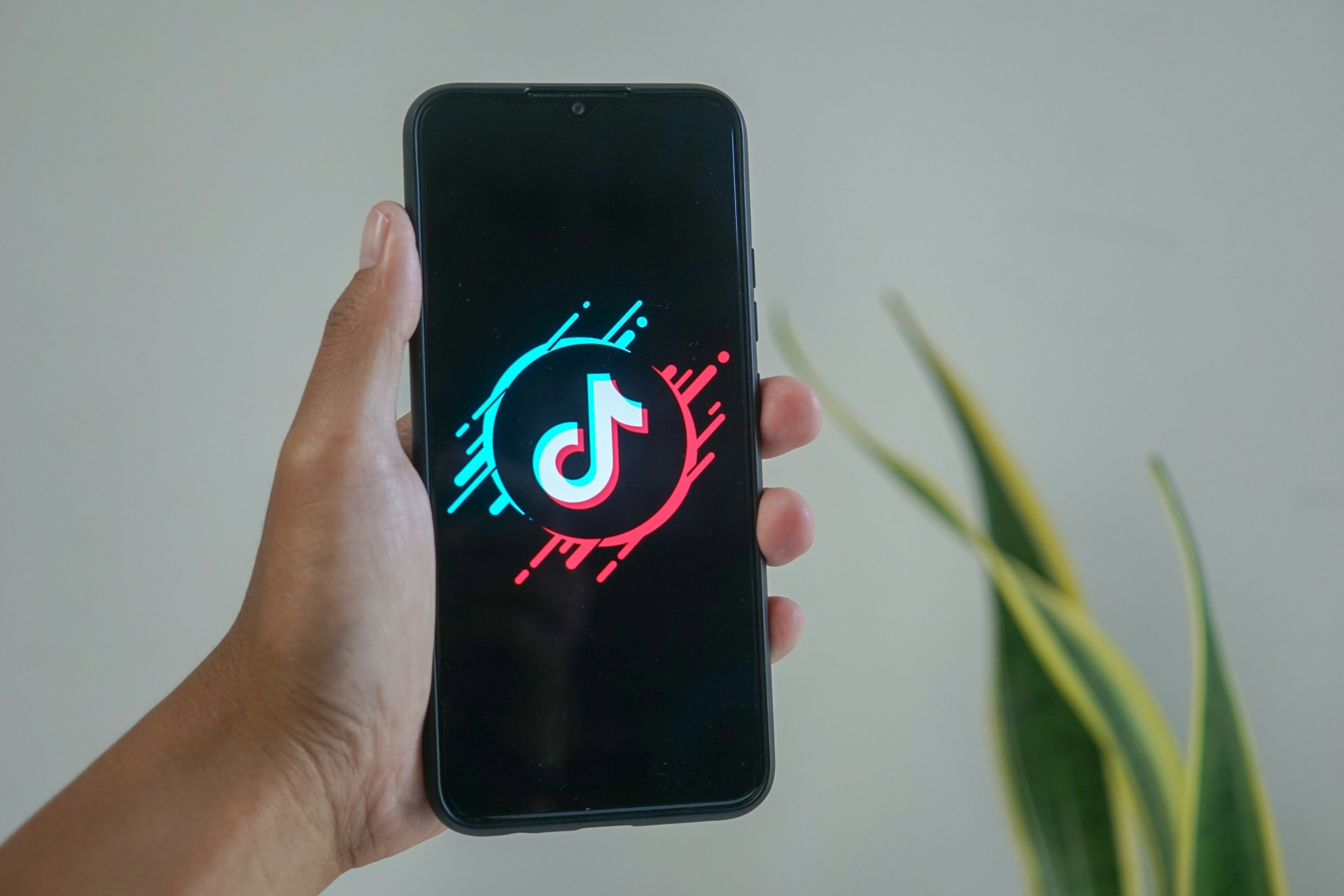 How to Download Private or Deleted TikTok Videos: What’s Possible and Legal Alternatives