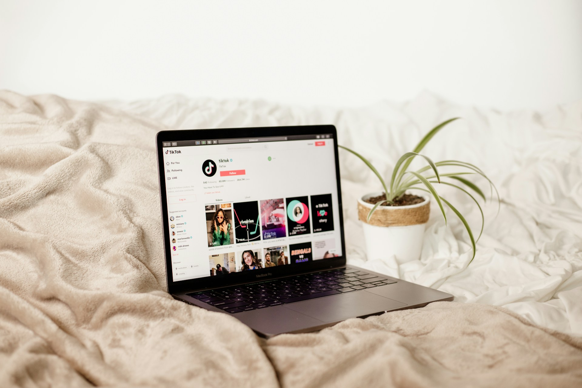 Why Your TikTok Link Doesn’t Work: Errors and Solutions